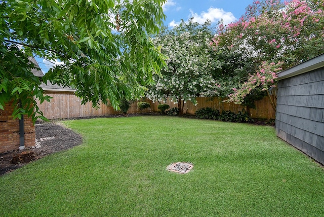 view of yard featuring a fenced backyard