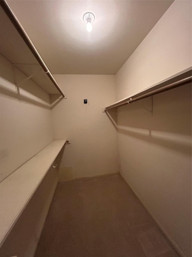 walk in closet with carpet