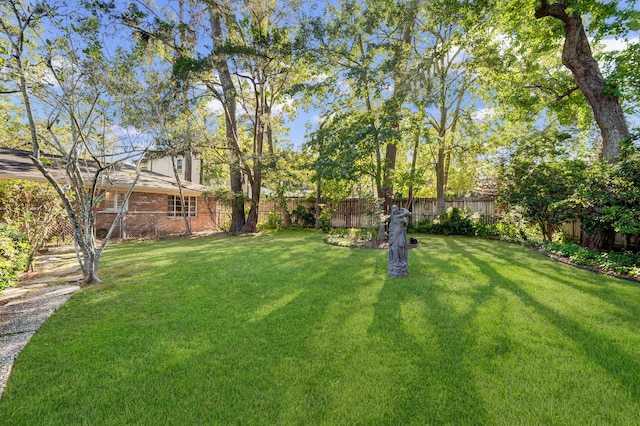 view of yard featuring a fenced backyard