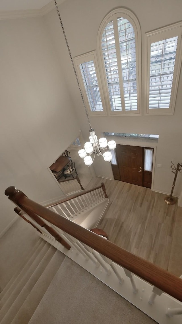 stairs featuring wood finished floors