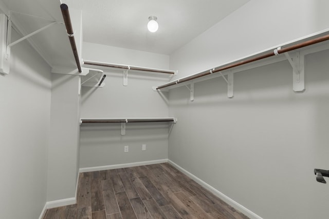 spacious closet featuring wood finished floors