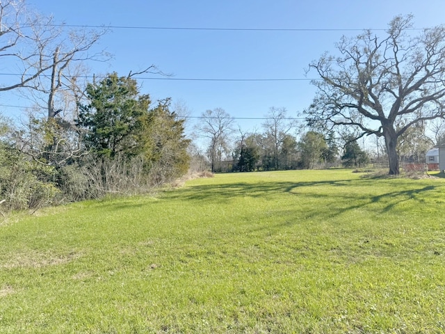 Listing photo 3 for 0 W Elm St, Brazoria TX 77422