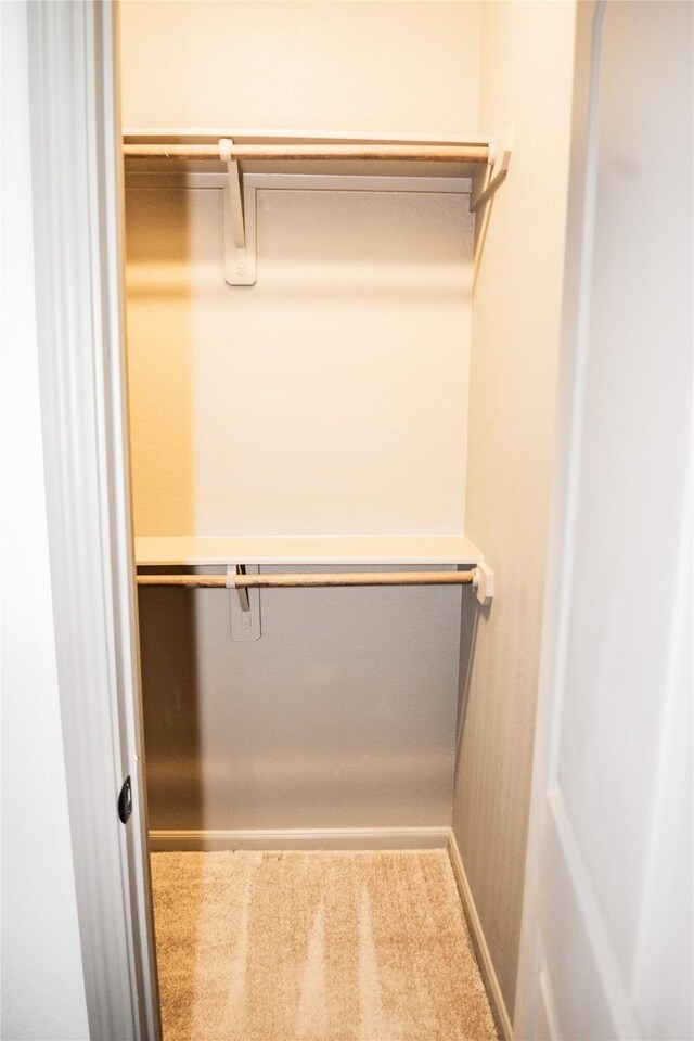 walk in closet with carpet