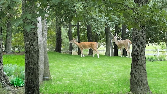 view of community with a yard and fence