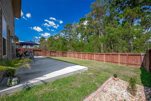 view of yard with a patio and a fenced backyard