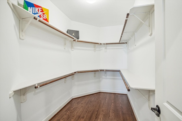 spacious closet with dark wood-type flooring