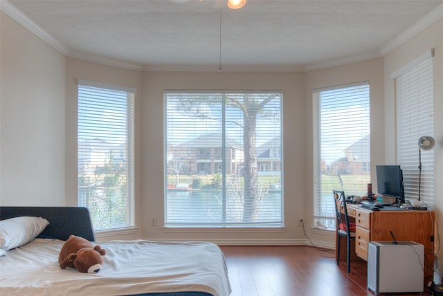 bedroom featuring multiple windows, ornamental molding, and dark wood finished floors