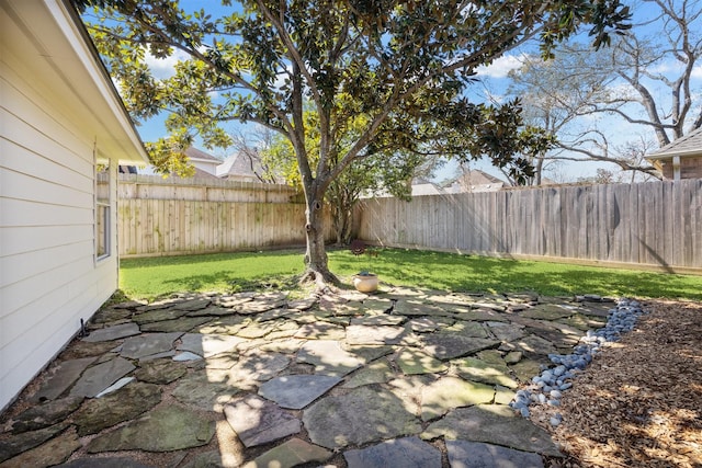 view of yard with a patio area and a fenced backyard