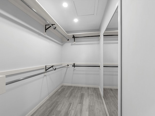 walk in closet with light wood-type flooring