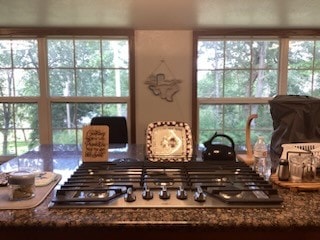 room details with dark stone countertops