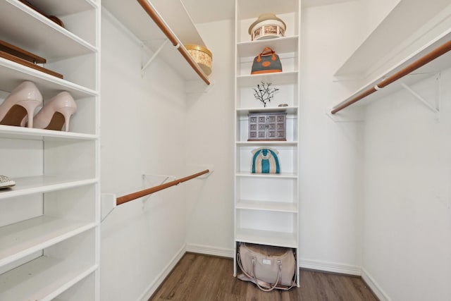 walk in closet featuring dark wood-style flooring