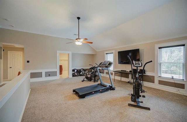 workout area with carpet, crown molding, and lofted ceiling