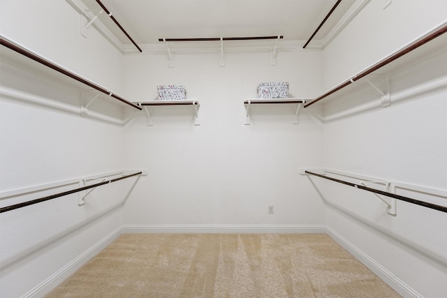 walk in closet with light carpet