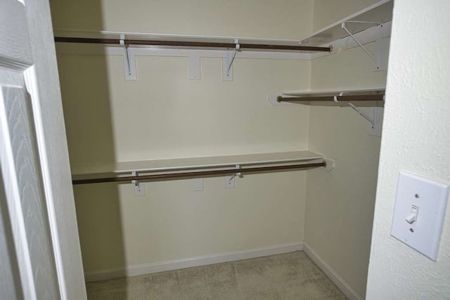 57 Sunrose Ct, Lake Jackson, TX 77566 - view of spacious closet
