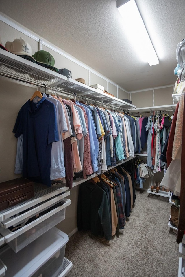 spacious closet featuring carpet flooring