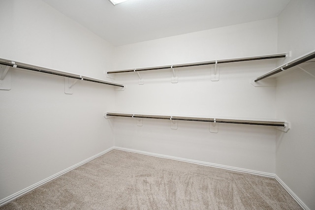 walk in closet featuring carpet