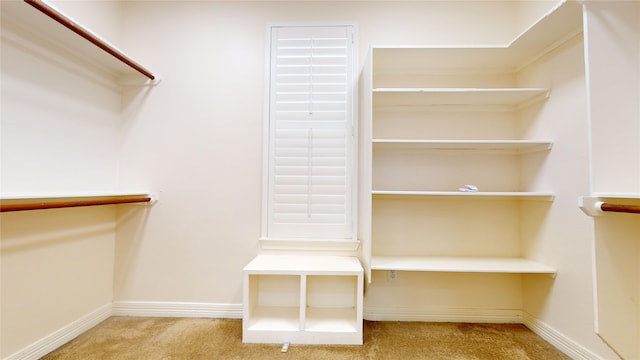 spacious closet with light colored carpet