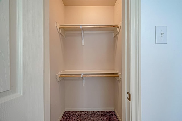 spacious closet with carpet flooring