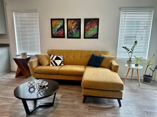 living area with baseboards and wood finished floors