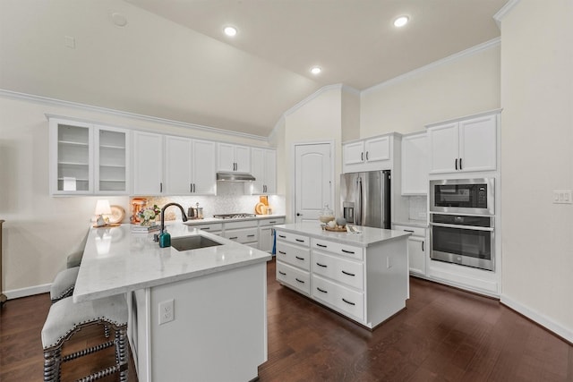 kitchen with white cabinetry, glass insert cabinets, stainless steel appliances, and a sink