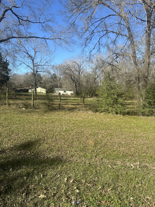 1030 Mangum Rd, Livingston, TX 77351 - view of yard featuring a view of rural / pastoral area
