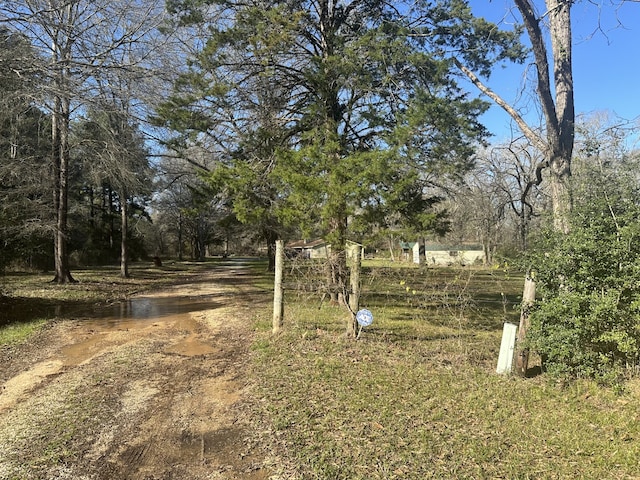 1030 Mangum Rd, Livingston, TX 77351 - view of dirt / gravel road