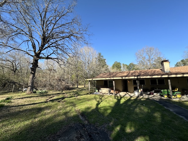 view of yard featuring a patio area