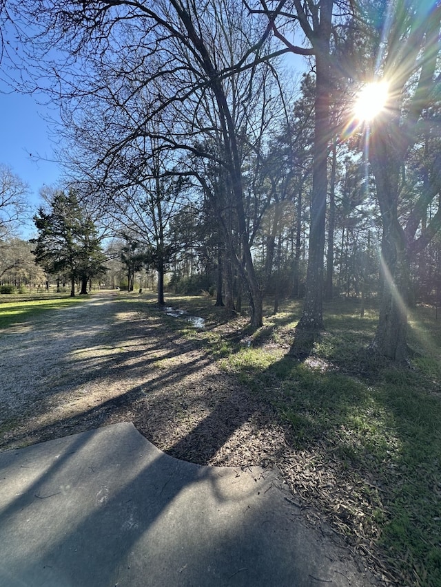 view of road