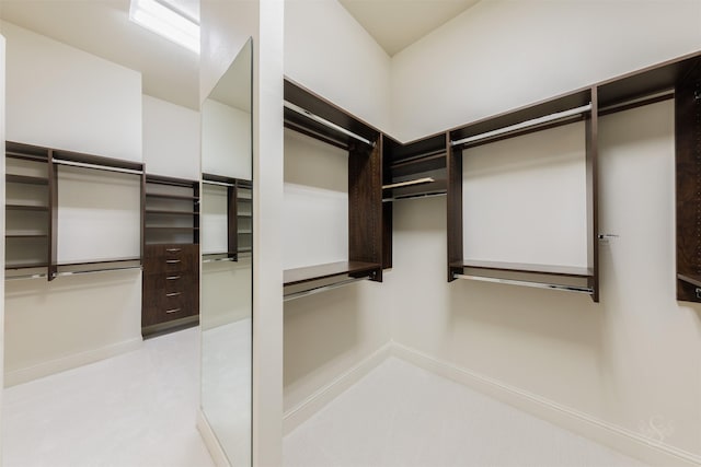 view of spacious closet