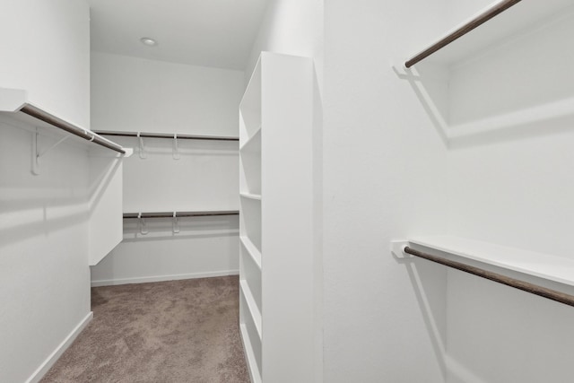 walk in closet with light carpet