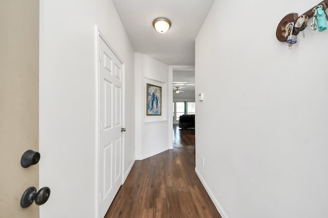 hall featuring dark wood-style floors and baseboards