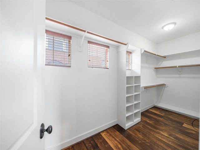 spacious closet featuring dark wood-style flooring