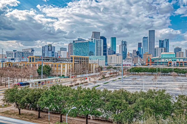 505 Bastrop St Unit 508, Houston, TX 77003 - skyline view