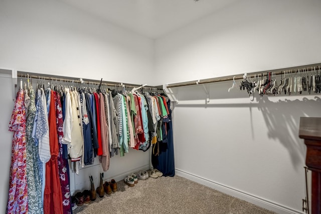 walk in closet with carpet