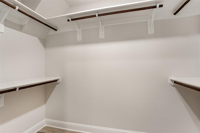 walk in closet featuring wood finished floors