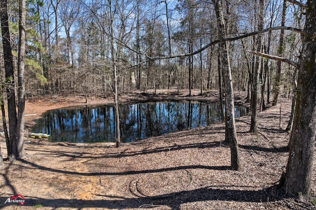 6270 US Highway 259 N, Naples, TX 75568 - water view featuring a forest view