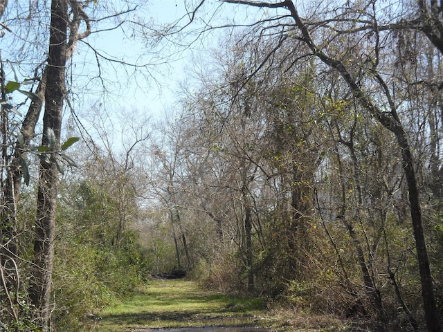0 S Donaldson Ln, Porte, TX 77571