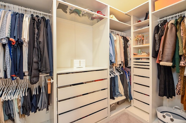 view of walk in closet