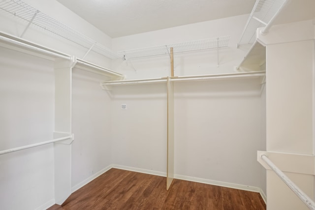 walk in closet with wood finished floors