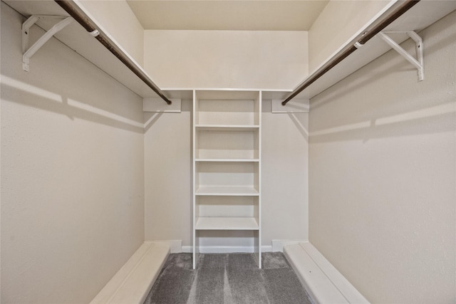 walk in closet featuring carpet flooring