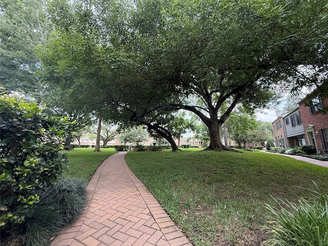 5874 Doliver Dr Unit 121, Houston, TX 77057 - surrounding community with a lawn