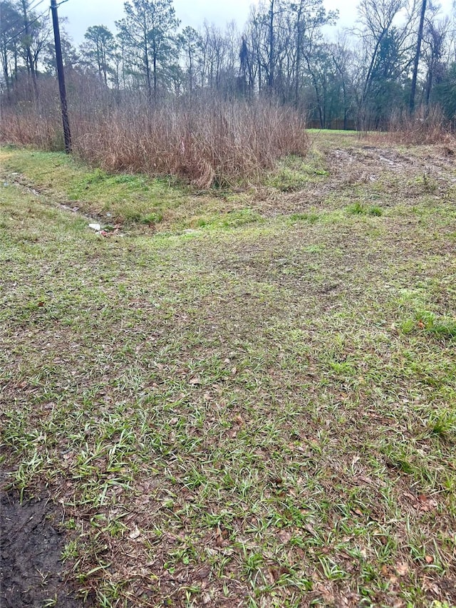 703 Little Doe Dr, Crosby, TX 77532