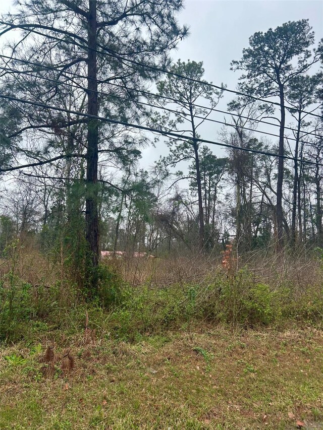703 Little Doe Dr, Crosby, TX 77532