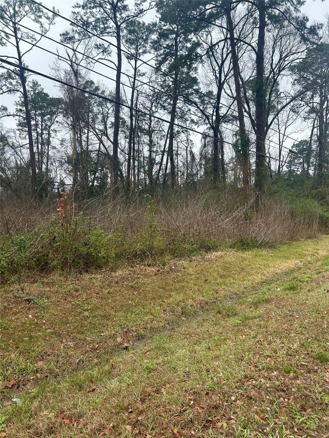 703 Little Doe Dr, Crosby, TX 77532