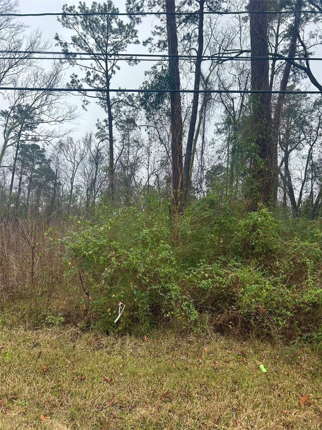 703 Little Doe Dr, Crosby, TX 77532
