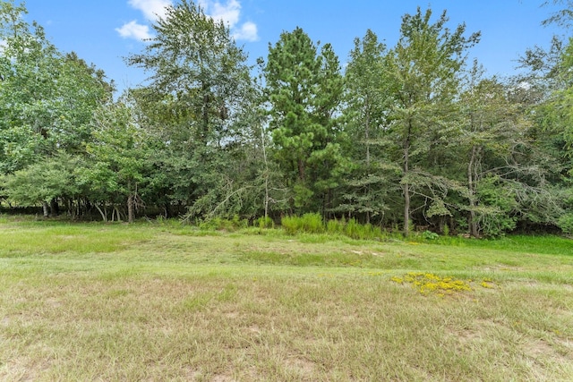 6464 Rolling Oak Dr, Montgomery, TX 77316