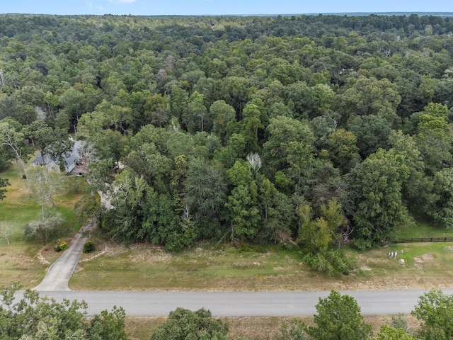 6464 Rolling Oak Dr, Montgomery, TX 77316