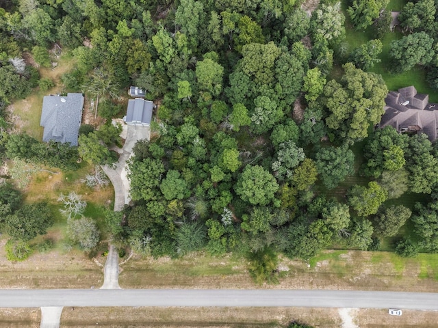 6464 Rolling Oak Dr, Montgomery, TX 77316