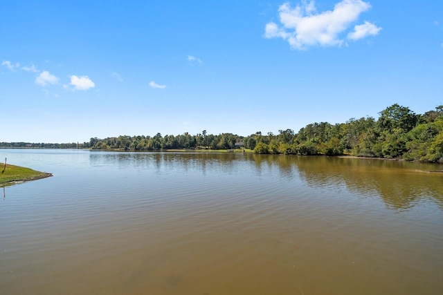 6464 Rolling Oak Dr, Montgomery, TX 77316