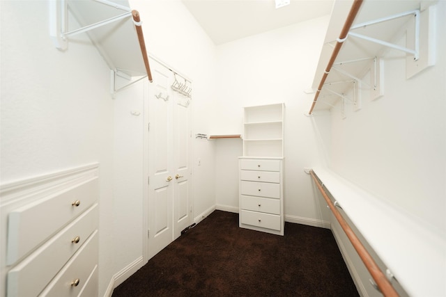 spacious closet with dark colored carpet